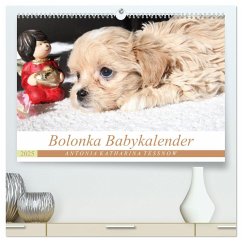 Bolonka Babykalender 2025 (hochwertiger Premium Wandkalender 2025 DIN A2 quer), Kunstdruck in Hochglanz