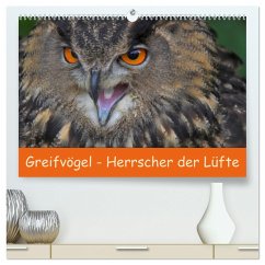 Greifvögel - Herrscher der Lüfte (hochwertiger Premium Wandkalender 2025 DIN A2 quer), Kunstdruck in Hochglanz