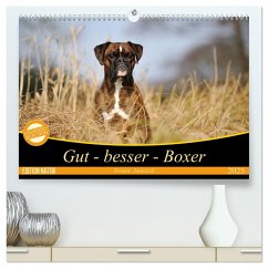 Gut - besser - Boxer (hochwertiger Premium Wandkalender 2025 DIN A2 quer), Kunstdruck in Hochglanz