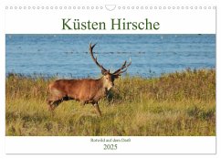 Küsten Hirsche - Rotwild auf dem Darß (Wandkalender 2025 DIN A3 quer), CALVENDO Monatskalender
