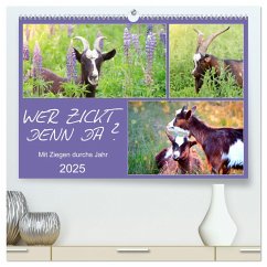 Wer zickt denn da? Mit Ziegen durchs Jahr (hochwertiger Premium Wandkalender 2025 DIN A2 quer), Kunstdruck in Hochglanz - Calvendo;Löwer, Sabine