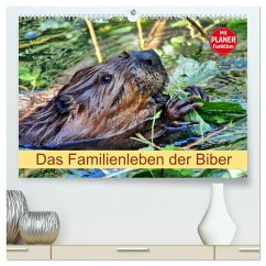 Das Familienleben der Biber (hochwertiger Premium Wandkalender 2025 DIN A2 quer), Kunstdruck in Hochglanz