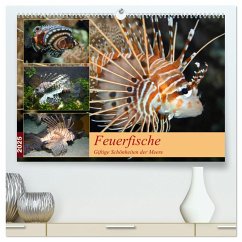 Feuerfische - Giftige Schönheiten der Meere (hochwertiger Premium Wandkalender 2025 DIN A2 quer), Kunstdruck in Hochglanz