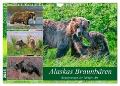 Alaskas Braunbären - Begegnungen der bärigen Art (Wandkalender 2025 DIN A4 quer), CALVENDO Monatskalender