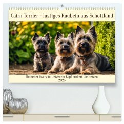 Cairn Terrier - lustiges Raubein aus Schottland (hochwertiger Premium Wandkalender 2025 DIN A2 quer), Kunstdruck in Hochglanz