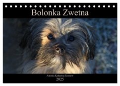 Bolonka Zwetna 2025 (Tischkalender 2025 DIN A5 quer), CALVENDO Monatskalender - Calvendo;Katharina Tessnow, Antonia