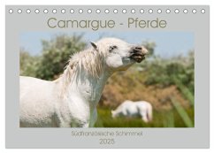 Camargue-Pferde - Südfranzösische Schimmel (Tischkalender 2025 DIN A5 quer), CALVENDO Monatskalender - Calvendo;Bölts, Meike