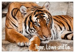 Tiger, Löwe und Co. (Wandkalender 2025 DIN A3 quer), CALVENDO Monatskalender