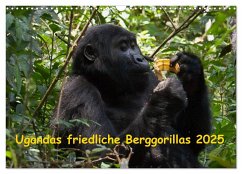 Ugandas friedliche Berggorillas (Wandkalender 2025 DIN A3 quer), CALVENDO Monatskalender