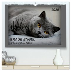 GRAUE ENGEL Britischkurzhaar-Katzen (hochwertiger Premium Wandkalender 2025 DIN A2 quer), Kunstdruck in Hochglanz