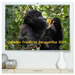 Ugandas friedliche Berggorillas (hochwertiger Premium Wandkalender 2025 DIN A2 quer), Kunstdruck in Hochglanz