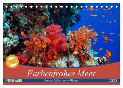 Farbenfrohes Meer (Tischkalender 2025 DIN A5 quer), CALVENDO Monatskalender