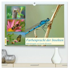 Farbenpracht der Insekten (hochwertiger Premium Wandkalender 2025 DIN A2 quer), Kunstdruck in Hochglanz