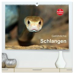 Gefährliche Schlangen (hochwertiger Premium Wandkalender 2025 DIN A2 quer), Kunstdruck in Hochglanz