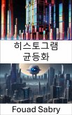 히스토그램 균등화 (eBook, ePUB)