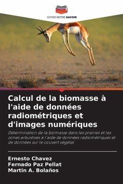 Calcul de la biomasse à l'aide de données radiométriques et d'images numériques - Chávez, Ernesto;Paz Pellat, Fernado;Bolaños, Martin A.