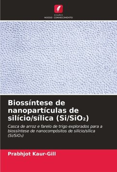 Cover Biossíntese de nanopartículas de silício/sílica (Si/SiO¿)