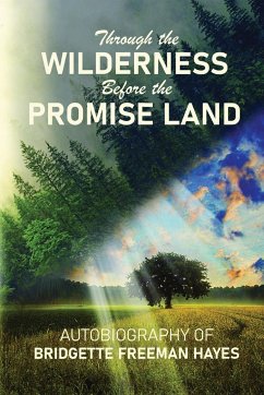 Through the Wilderness Before the Promise Land - Freeman-Hayes, Bridgette