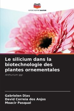 Le silicium dans la biotechnologie des plantes ornementales - Dias, Gabrielen;dos Anjos, David Correia;Pasqual, Moacir