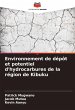 Environnement de dépôt et potentiel... - Bild 1
