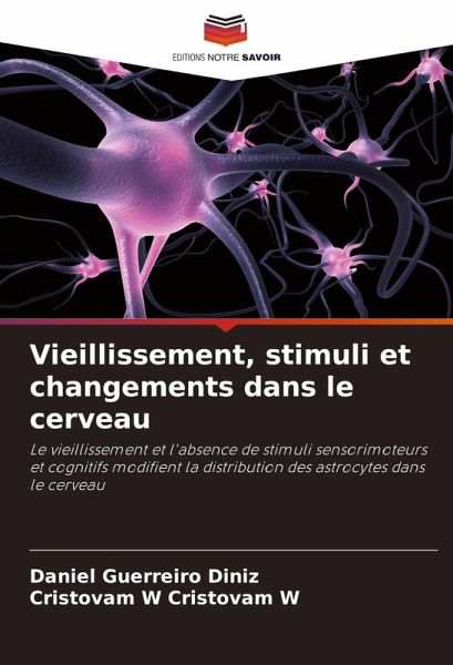 Vieillissement, stimuli et changements dans le cerveau Vieillissement, stimuli et changements dans le cerveau