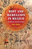 Riot and Rebellion in Mexico