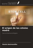 El origen de las células madre