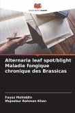 Alternaria leaf spot/blight Maladie fongique chronique des Brassicas