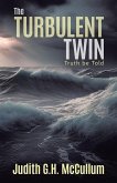 The Turbulent Twin