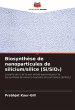 Biosynthèse de nanoparticules de... - Bild 1