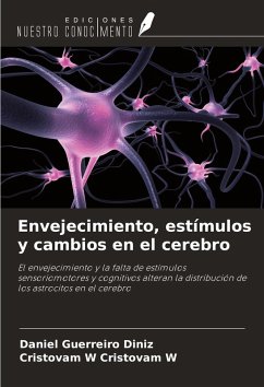 Cover Envejecimiento, estímulos y cambios en el cerebro