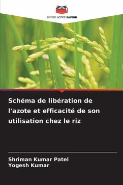 Schéma de libération de l'azote et efficacité de son utilisation chez le riz - Patel, Shriman Kumar;Kumar, Yogesh