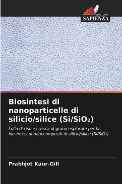 Biosintesi di nanoparticelle di silicio/silice (Si/SiO¿) - Kaur-Gill, Prabhjot