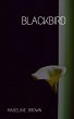 Blackbird - Bild 1