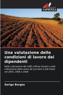 Una valutazione delle condizioni di lavoro dei dipendenti - Borges, Serigo