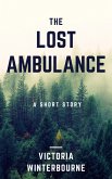 The Lost Ambulance (eBook, ePUB)