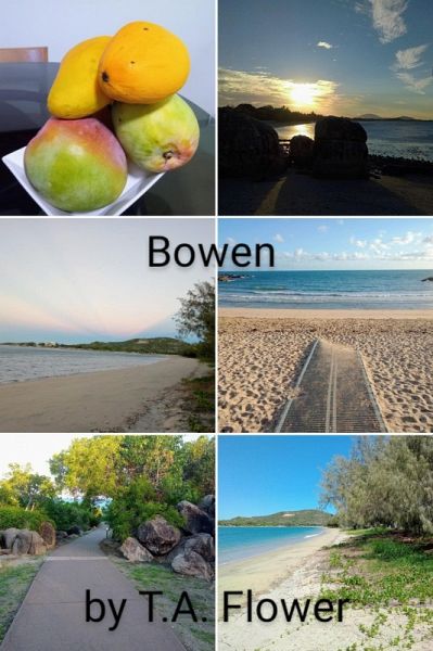 Bowen (eBook, ePUB)