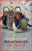 Surprising and unusual rarities and creatures of the Animal Kingdom. Vol. 1 (Surprising and Unusual Creatures of the Animal Kingdom., #1) (eBook, ePUB)