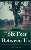 The Six Feet Between Us (eBook, ePUB)