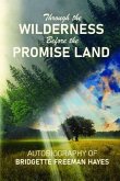 Through the Wilderness Before the Promise Land (eBook, ePUB)