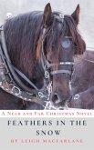 Feathers in the Snow (Near and Far Christmas, #1) (eBook, ePUB)