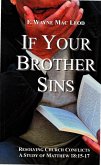 If Your Brother Sins (eBook, ePUB) If Your Brother Sins (eBook, ePUB)