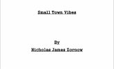 Small Town Vibes (eBook, ePUB)