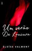 Um verão de loucura (eBook, ePUB)