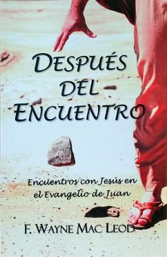 Cover Después del Encuentro (eBook, ePUB)