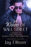 The Wolves of Wall Street Volume 4 (eBook, ePUB)
