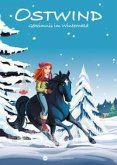 OSTWIND - Erstleser Band 21 - Geheimnis im Winterwald (eBook, ePUB)