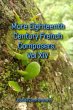 More Eighteenth Century French... - Bild 1