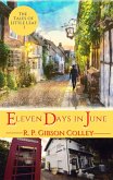 Eleven Days in June (The Tales of Little Leaf) (eBook, ePUB)