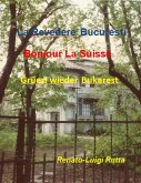 La revedere Bucuresti, Bonjour la Suisse, Grüezi wieder Bukarest (eBook, ePUB)